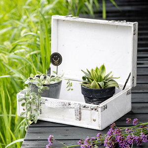 v^[ rWlXobO|bg zCg i Aؔ vg|bg Ap|bg  |bg A^bVP[X  u A  Jo[ ԑ  ϗtA A [ |  C