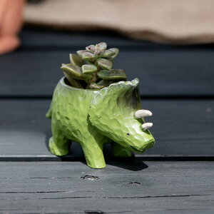 v^[ V[Y gPgvX i Aؔ vg|bg Ap|bg ~j|bg |bg   1 ~j  X^h u A  ϗtA A T{e | 