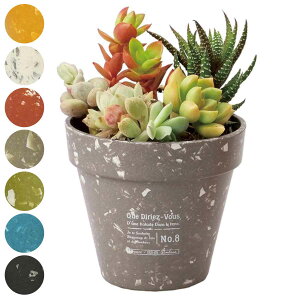 Aؔ ou[GR|bg 3 i vg|bg Ap|bg Ԋ Jo[ |bg GR |  AؔJo[ vX`bN A  ϗtA A | A CeA y ꌊ