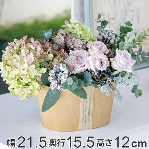 Jo[ i`oXPbg 21.5×s15.5×12cm i AؔJo[ Aؔ Jo[ vg|bg Ap|bg Ԋ |bg I[o |bgJo[  Ԃ  A  ϗtA 