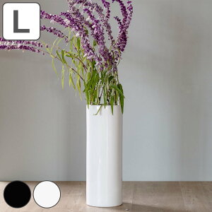 ԕr mg[t[x[X  a10.5×30cm i t[x[X Ԃт Ԋ x[X O ~  V_[   ԓ  ԑ hCt[ O[ CeA c