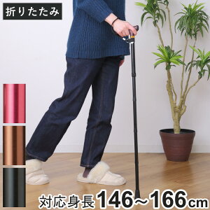  ܂肽݃^Cv  DV[Y A~ i  cG ܂肽ݏ _ Lk  y  s⏕   pi 5iK s ⏕ nr Ռz ]|h~