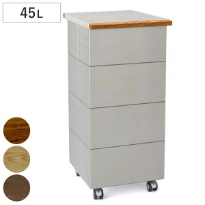 ゴミ箱 45L CUBOID シングル ステンレス+天然無垢 蓋 ( KENNER ごみ箱 45リットル papperskorg 大容量 分別 ふた付き 高級 こだわり インテリア おしゃれ インダストリアル シンプル 日本製 無垢 )
