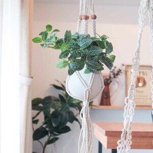 v^[ }NvgnK[Rbg S A i v^[nK[ vgnK[  ݂邷 nK[ z_[ vgz_[ oXPbg ݂艺 |bg }ND Rb