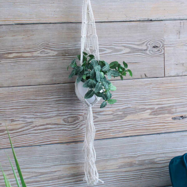 楽天市場 プランター マクラメプラントハンガーコットン S B プランターハンガー プラントハンガー 鉢 吊るす ハンガー ホルダー プラントホルダー バスケット 吊り下げ ポット マクラメ織り コットン 紐 ロープ 植物 観葉植物 85cm リビングート 楽天市場店