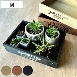 [{bNX |vEbh{bNX X^bJu M  i 33.5×s23.5×7.5cm A4TCY [ ؐ {bNX [ [ [ t@C{bNX g Ebh{bNX 