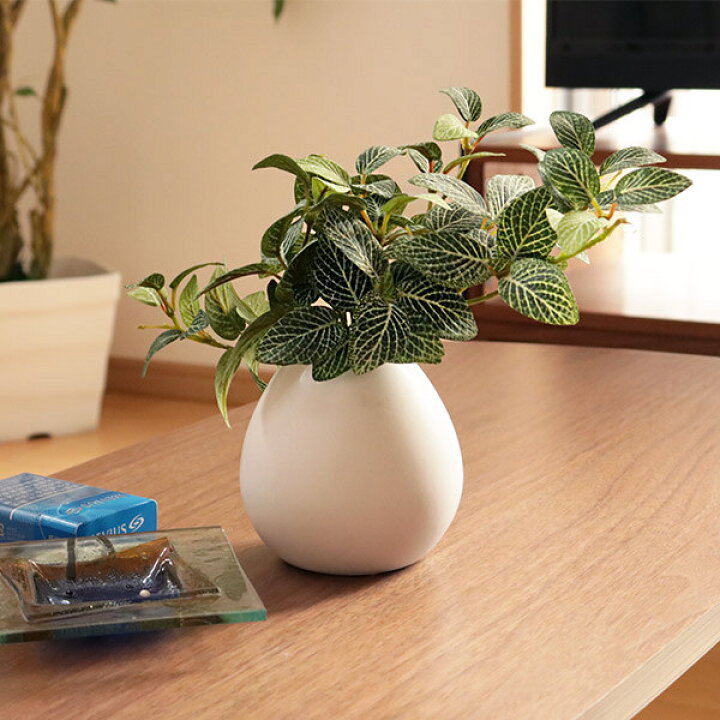 楽天市場】人工観葉植物 フィットニア 18cm フェイクグリーン 造花 