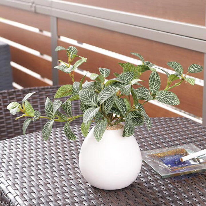 光触媒 人工観葉植物 フェイクグリーン フィットニアハンギング 25cm 