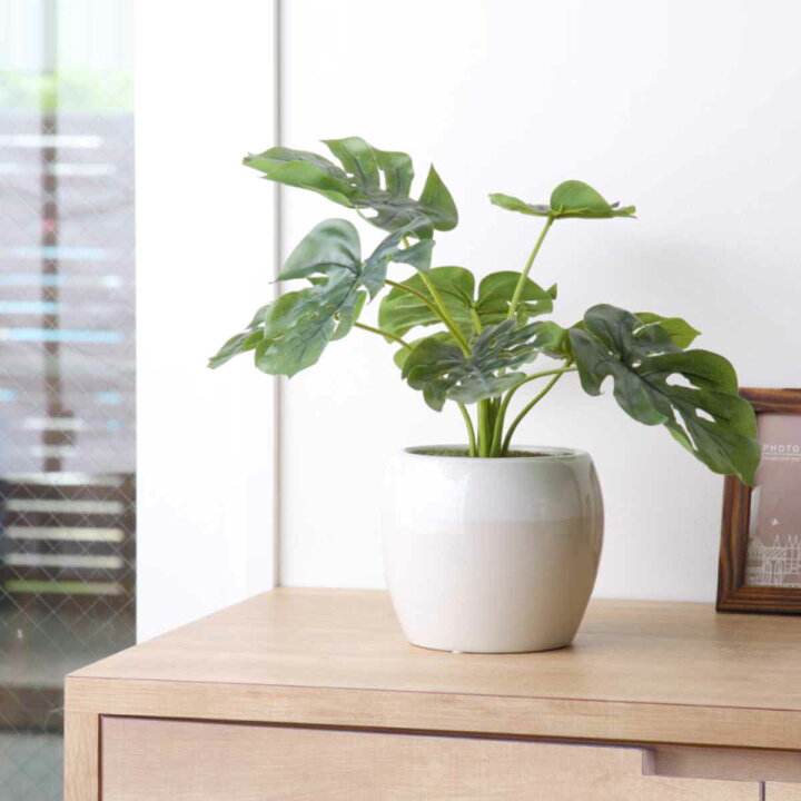 楽天市場】人工観葉植物 ポット モンステラ フェイクグリーン 光触媒 