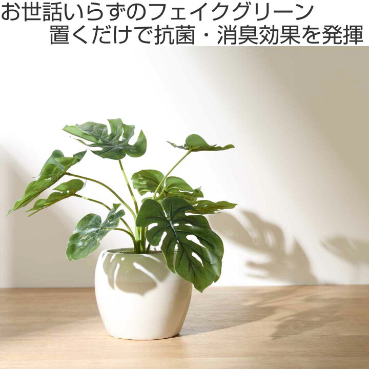 楽天市場】人工観葉植物 ポット モンステラ フェイクグリーン 光触媒 
