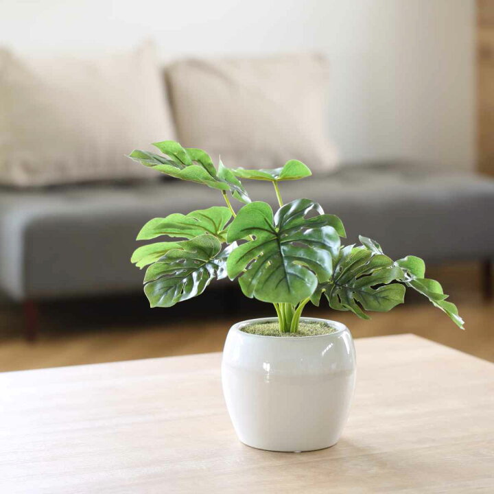 楽天市場】人工観葉植物 ポット モンステラ フェイクグリーン 光触媒 
