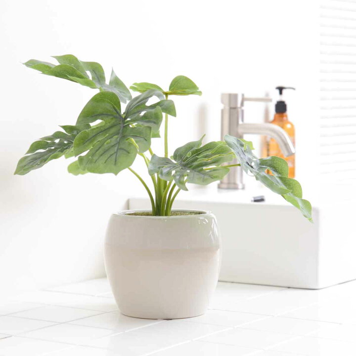 楽天市場】人工観葉植物 ポット モンステラ フェイクグリーン 光触媒  