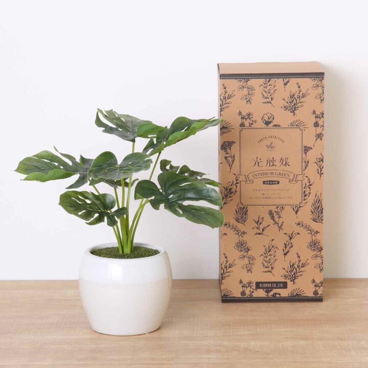 楽天市場】人工観葉植物 ポット モンステラ フェイクグリーン 光触媒 