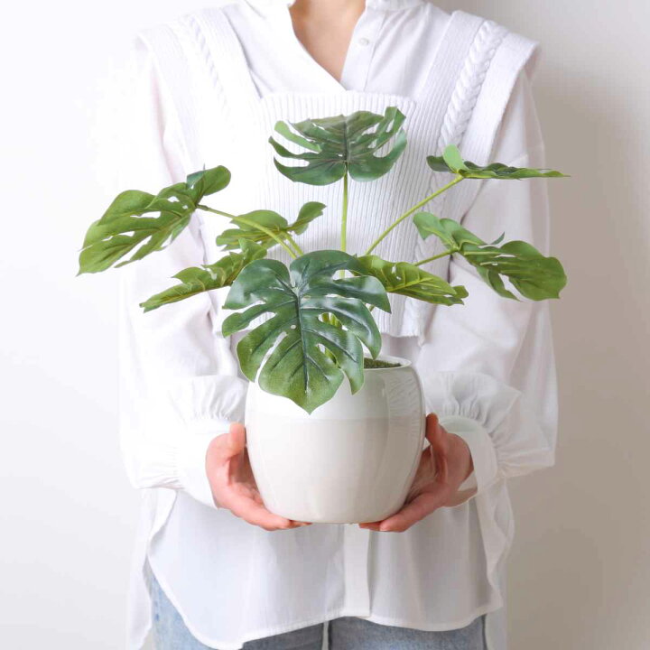 楽天市場】人工観葉植物 ポット モンステラ フェイクグリーン 光触媒 