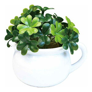 tFCNO[ N[o[ |bg i lHϗtA CeAO[ ϗtA   A RpNg G}  L R CeA O[ lH A sv j