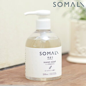 ܂ SOMALI nh\[v t̐΂ 250ml i nhpt̐΂   ΂ Ό Y { nhEHbV [Y}[̍ u₩  q h VR