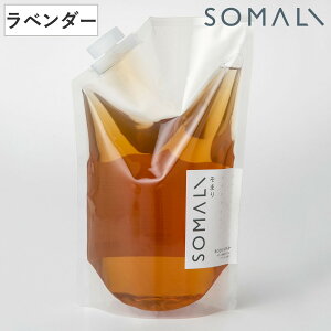 ܂ SOMALI {fB\[v l֗p x_[ 1L i {fB[pt̐΂ lւ  x_[̍ Y { {fB[Vv[ lߑւ 1000ml Ԃ q A 