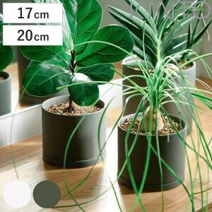 KINTO Lg[ vg|bg 170×160mm 200×195mm i  Aؔ v^[ t[|bg 17cm 20cm  킢 Vv ϗtA O[|bg CeA G j