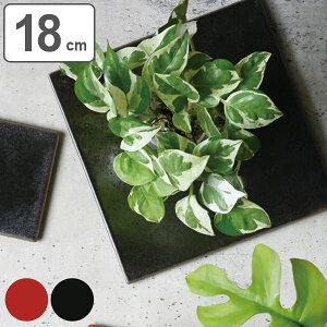 KINTO Lg[ CLK-161 Z~bN}bg 180mm i ~ v[g 18cm M H   dqWΉ H@Ή M  }bg Z~bN CeA j