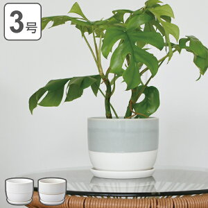 花 鉢 おしゃれ プランターの人気商品 通販 価格比較 価格 Com 花 鉢 おしゃれ プランターの人気商品 通販 価格比較 価格 Com
