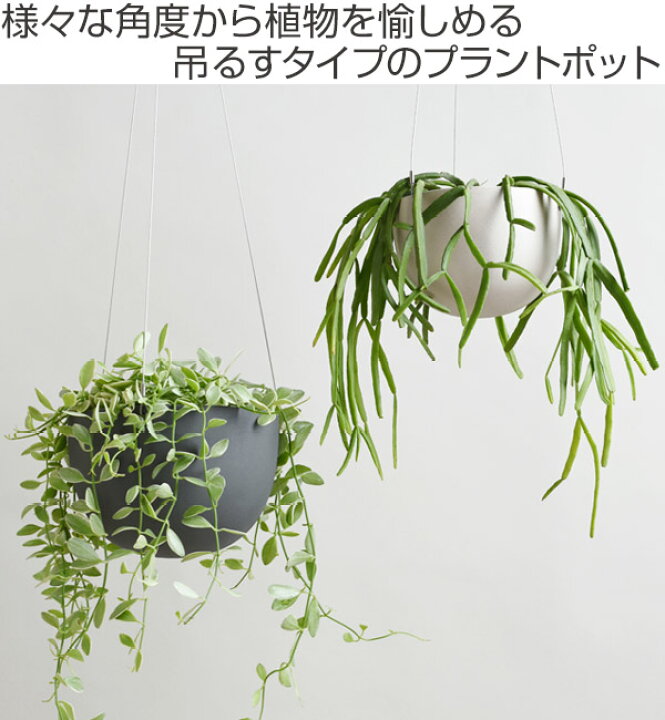 楽天市場 プランター プラントポット キントー Kinto 14cm ベージュ 送料無料 ハンギングプランター 吊り鉢 プラントハンガー 植木鉢 壁掛け 吊るす 吊り下げ おしゃれ 観葉植物 屋内 室内 店舗 ディスプレイ お店 多肉植物 底穴 鉢カバー リビングート 楽天市場店 楽天市場 プランター プラントポット キントー Kinto 14cm ベージュ 送料無料 ハンギングプランター 吊り鉢 プラントハンガー 植木鉢 壁掛け 吊るす 吊り下げ おしゃれ 観葉植物 屋内 室内 店舗 ディスプレイ お店 多肉植物 底穴 鉢カバー リビングート 楽天市場店
