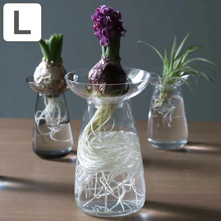 楽天市場 キントー 花器 Aqua Culture Vase Lサイズ ガラス 花瓶 おしゃれ 送料無料 Kinto フラワーベース 一輪挿し 花 グリーン 栽培 ハーブ インテリア オブジェ ガラス製 飾る フラワーグラス 水栽培 水耕栽培 球根 セパレート 透明 リビングート 楽天市場店