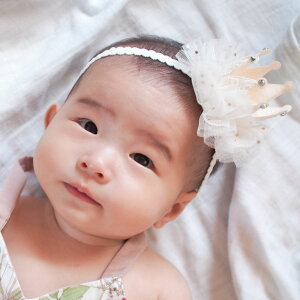 wAoh Lien de famille NE oYj j[{[tHg ̎q i xr[wAoh wbhoh Ԃ 蕨 v[g 킢 j̎q xr[ V  `[ o