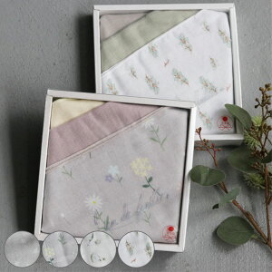 K[[ Lien de famille 3 Zbg { i K[[nJ` K[[^I 24cm xr[ Ԃ Mtg v[g ̎q j̎q  nJ` xr[nJ` _uK[[  蕨 