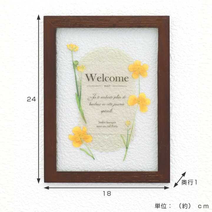 楽天市場 アートフレーム Herbarium Art Frame キンポウゲ Brown ハーバリウム アート 壁掛け 花 植物 グリーン インテリア 雑貨 スタンド アンティーク ナチュラル おしゃれ ギフト プレゼント 母の日 お祝い 誕生日 リビングート 楽天市場店