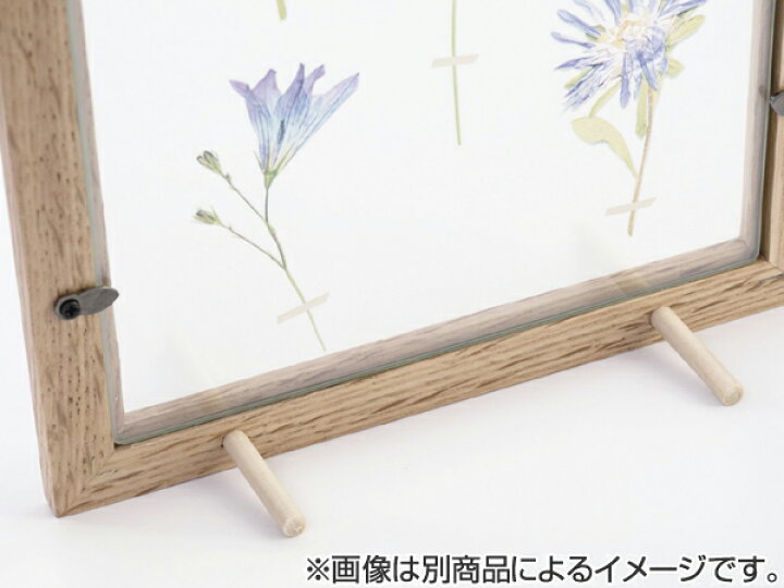 楽天市場 アートフレーム Herbarium Art Frame ポプラ Natural ハーバリウム アート 壁掛け 植物 グリーン インテリア 雑貨 スタンド アンティーク ナチュラル おしゃれ ギフト プレゼント 母の日 お祝い 誕生日 リビングート 楽天市場店