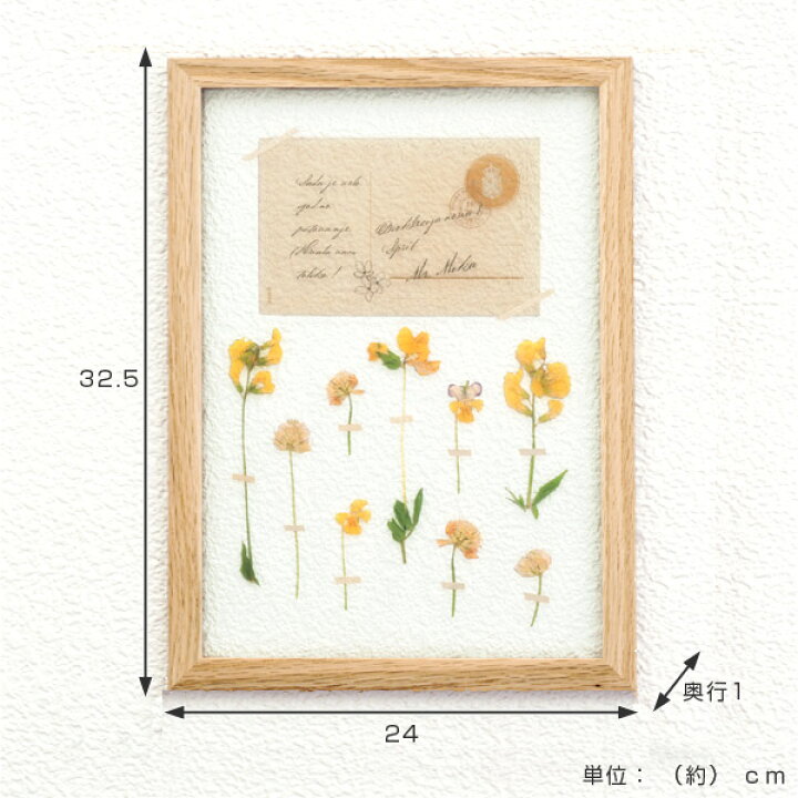 楽天市場 在庫限り 入荷なし アートフレーム Herbarium Art Frame ミヤコグサ Natural ハーバリウム アート 壁掛け 花 グリーン インテリア 雑貨 アンティーク ナチュラル おしゃれ ギフト プレゼント 母の日 お祝い 誕生日 結婚祝い 新築祝い リビングート