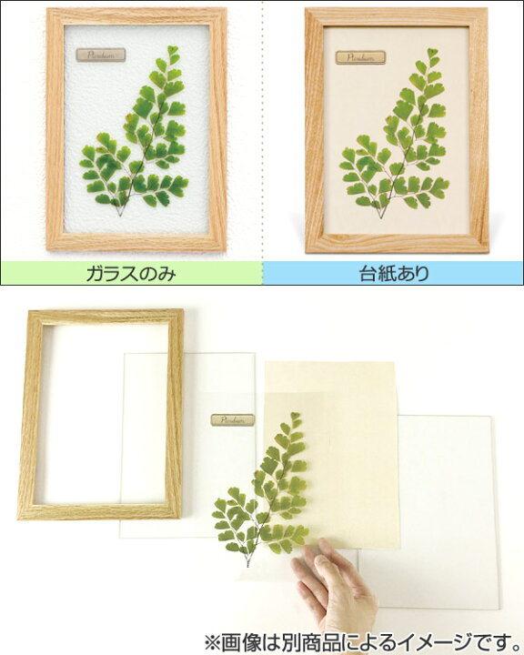 楽天市場 在庫限り 入荷なし アートフレーム Herbarium Art Frame ミヤコグサ Natural ハーバリウム アート 壁掛け 花 グリーン インテリア 雑貨 アンティーク ナチュラル おしゃれ ギフト プレゼント 母の日 お祝い 誕生日 結婚祝い 新築祝い リビングート
