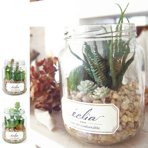 lHϗtA LA[eBtBVO[ GNA LjX^[^Cv ECLIA ARTIFICIAL GREEN i  tFCNO[ CeAt[ A[gt[ lH tFCN A A 