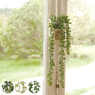 人工観葉植物 エクリア 消臭アーティフィシャルグリーン （ 観葉植物 フェイクグリーン 造花 吊るす ハン…
