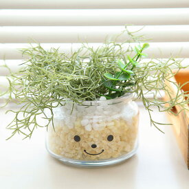 楽天市場 フェイクグリーン 風水 観葉植物の通販