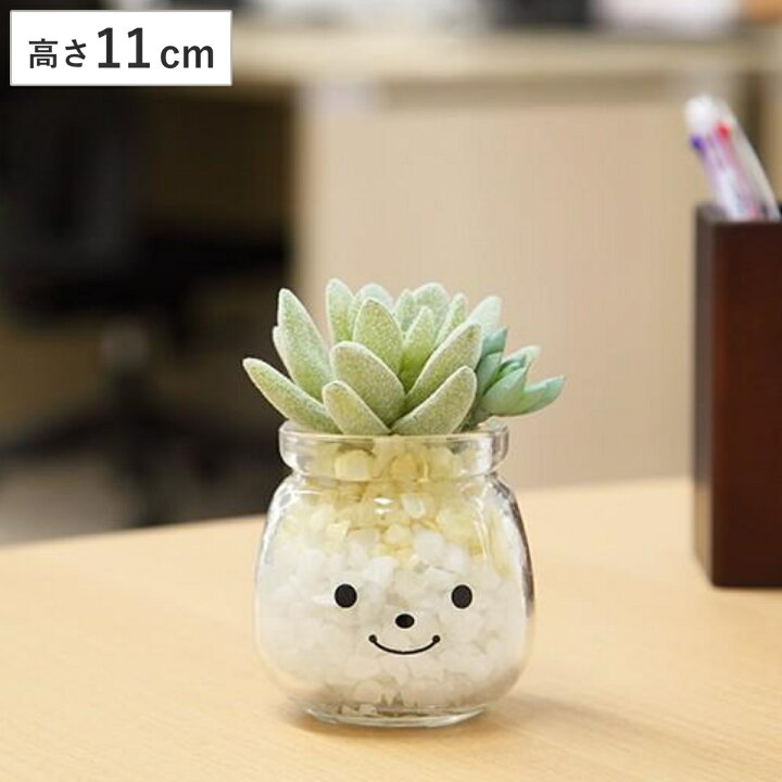 フェイクグリーン ミニ 室内 多肉植物 人工観葉植物 おしゃれ リアル 造花 ガラス容器 57 以上節約
