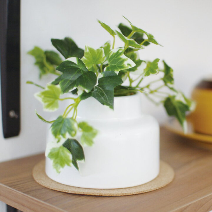 楽天市場 フェイクグリーン アイビー M 人工観葉植物 エクリア 卓上 観葉植物 造花 Ct触媒 光触媒 消臭 防汚 抗菌 簡単 清潔 安心 インテリア 玄関 デスク上 トイレ 洗面所 リビングート 楽天市場店