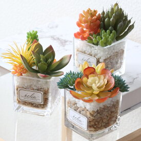 フェイクグリーン エクリア 消臭アーティフィシャルグリーン Sサイズ （ 観葉植物 フェイク 人工観葉植物 多肉植物 CT触媒 消臭 防汚 抗菌 造花 風水 水やり不要 人工植物 グリーン おしゃれ 玄関 インテリア 人工 植物 小さい ）