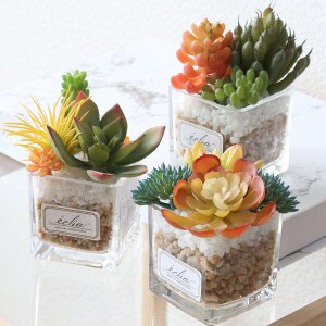 tFCNO[ GNA LA[eBtBVO[ STCY i ϗtA tFCN lHϗtA A CTG} L h R   sv lHA O[  