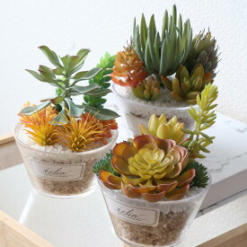 フェイクグリーン エクリア 消臭アーティフィシャルグリーン Lサイズ （ 観葉植物 フェイク 人工観葉植物 多肉植物 CT触媒 消臭 防汚 抗菌 造花 風水 水やり不要 人工植物 グリーン おしゃれ 玄関 インテリア 人工 植物 小さい ）