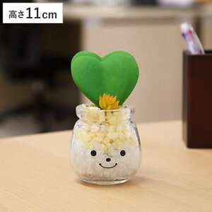 tFCNO[ lHϗtA t@~[ LA[eBtBVO[ ~[i i  lHA ϗtA lH A A A ctG} L h R   rO Lb`