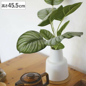 tFCNO[ JeA L lHϗtA GNA i  ϗtA  CTG} G} L h R ȒP  S CeA  fXN gC ʏ j