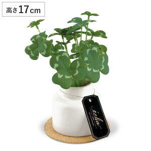 tFCNO[ N[o[ S lHϗtA GNA i ~j ϗtA  CTG} G} L h R ȒP  S CeA  fXN gC ʏ j