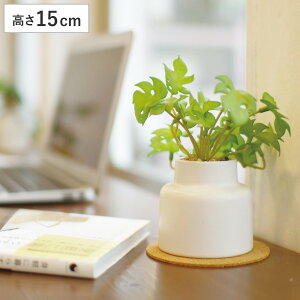 tFCNO[ Xe S lHϗtA GNA i ~j ϗtA  CTG} G} L h R ȒP  S CeA  fXN gC ʏ j