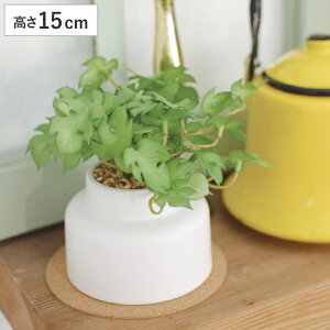 tFCNO[ Xe M lHϗtA GNA i  ϗtA  CTG} G} L h R ȒP  S CeA  fXN gC ʏ j