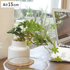 フェイクグリーン シュガーバイン M 人工観葉植物 エクリア （ 卓上 観葉植物 造花 CT触媒 光触媒 消臭 防汚 抗菌 簡単 清潔 安心 インテリア 玄関 デスク上 トイレ 洗面所 ）