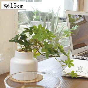 tFCNO[ VK[oC M lHϗtA GNA i  ϗtA  CTG} G} L h R ȒP  S CeA  fXN gC ʏ j