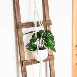 tFCNO[ Xe GNA nMO i lHϗtA CeAO[ ϗtA   A  L R h ݂艺 CeA O[ CTG} lH A