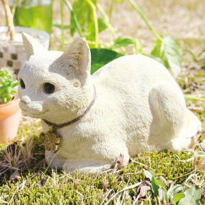 K[fI[ig VbeBOLbg lR i K[fjO I[ig fBXvC  u K[f}XRbg L ˂  GgX  K[f G CeA 