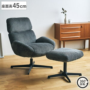 `FA ʍ45cm ] Ibg}t xC p[\i`FA i `FA[ CX ֎q  R[fC t@ubN u \t@ 1l| bNX Sn K rO`FA j